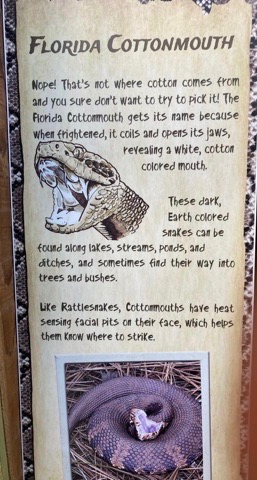 Photo depicts the label discussed in this section, picture a drawing and photos of a Florida Cottonmouth snake with text about how to identify it. It says "Nope, that's not where cotton comes from and you sure don't want to try to pick it! The Florida Cottonmouth gets its name because when frightened, it coils and opens its jaws, revealing a white, cotton colored mouth."