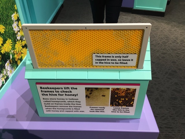 Photo depicts the label being described in this section. This interactive label has a fake honey comb frame that you can lift up from the beekeeper's hive to view the honeycomb inside. Labels say "Beekeepers lift the frames to check the hive for honey!" and "This frame is only half capped in wax, so leave it in the hive to be filled."